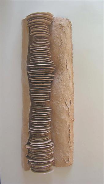 רבדים רבדים עשאם