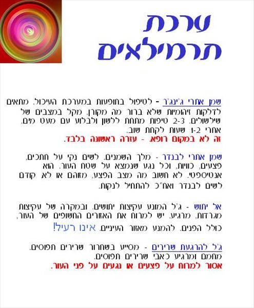 ערכת תרמילאים