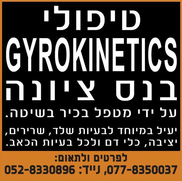gyrokinetics