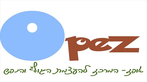 הרצאה חווייתית