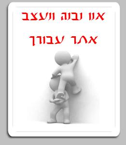 התכנה