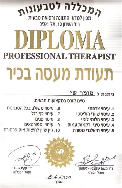עיסוי משולב(רב סיגנונות)