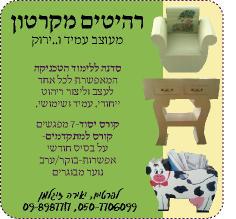 פלייר