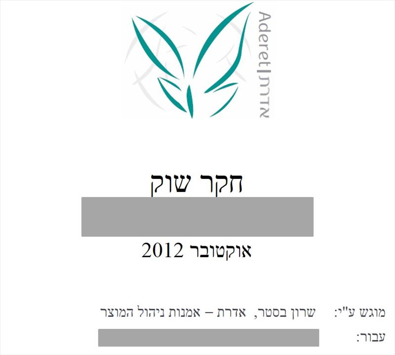 חקר שוק - יזם פרטי