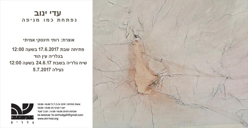 תערוכת ציורים: נפתחת כמו מניפה