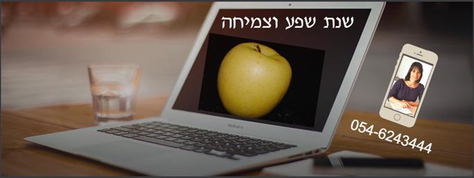 שנת שפע
