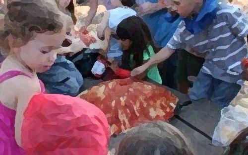 פעילות חווייתית בהישרדות