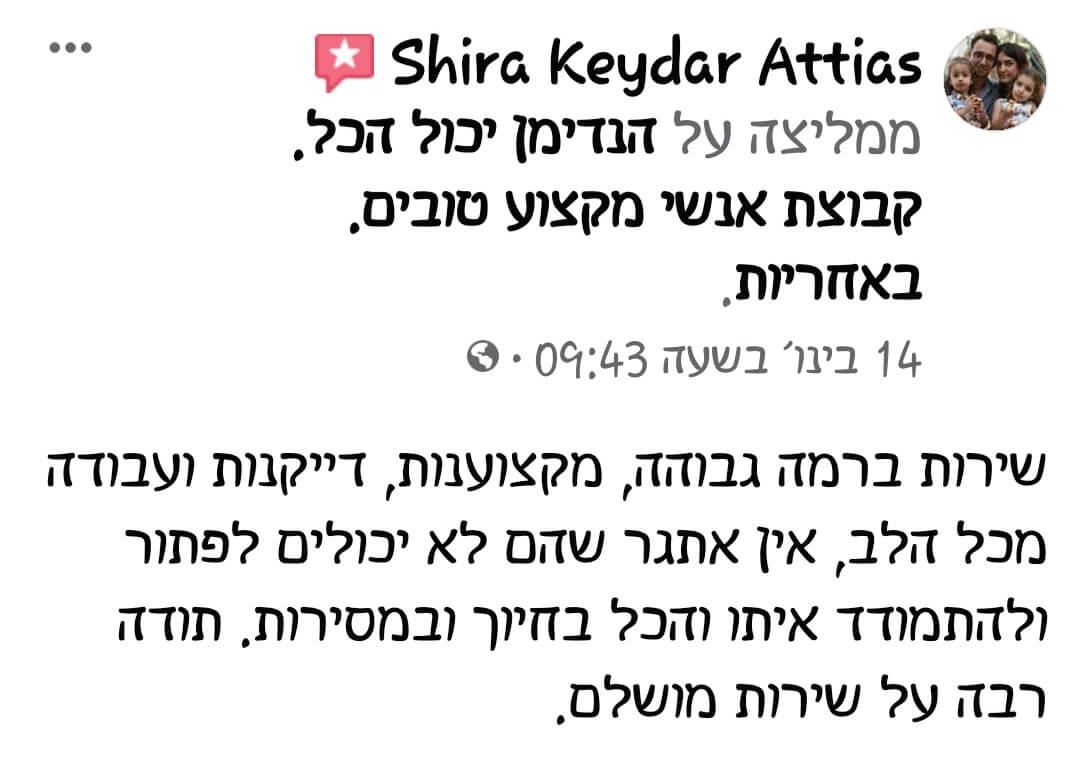 חוות דעת על הנדימן יכול הכל