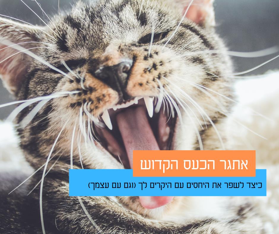 אתגר הכעס הקדוש