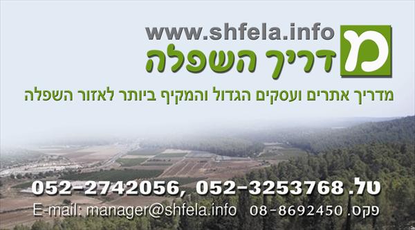 מדריך השפלה לעסקים
