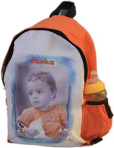 תיק גן