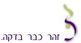 ליווי בלידה
