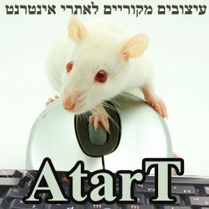 הקמה/עיצוב אתרי אינטרנט