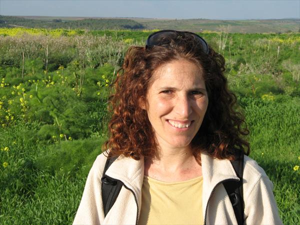 הדרכת טיולים