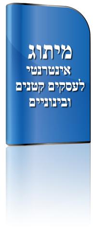 מיתוג אינטרנטי