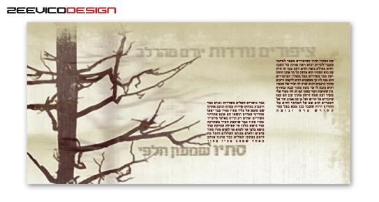 עיצוב חוברת - שירון