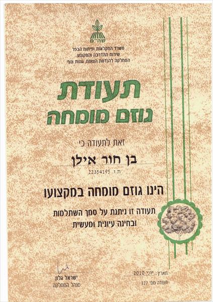 תעודת גוזם מומחה