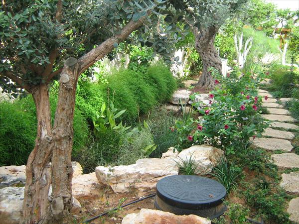 מערכות טיהור מים אפורים