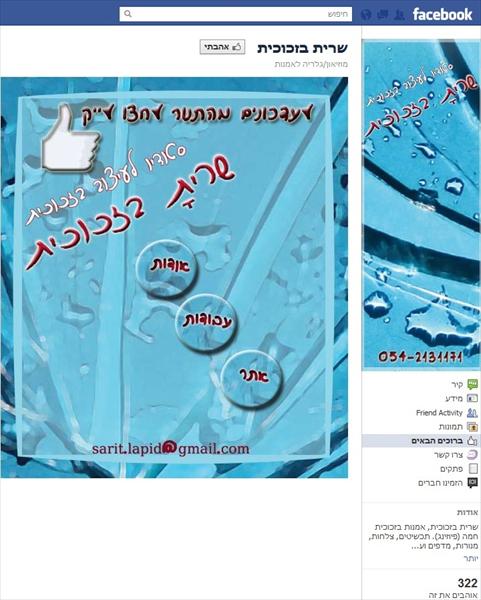 שרית בזכוכית- דף עסקי