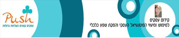 הצלחה עסקית = 3*RM + RA