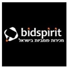 פרויקט מכירה פומבית