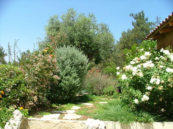 התאמת הגינה לצורכי השעה