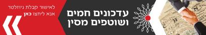 עיצוב באנר פלשי