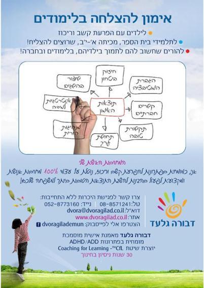 תוצאות האימון