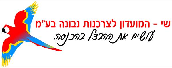 בכל תחום בחייכם אתם ודאי שואפים