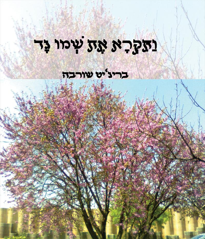 ותקרא את שמו גד