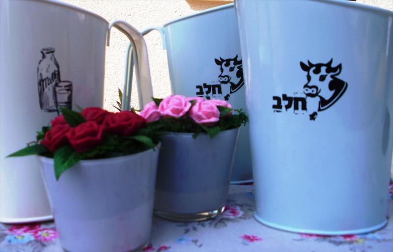 שקיות חלב