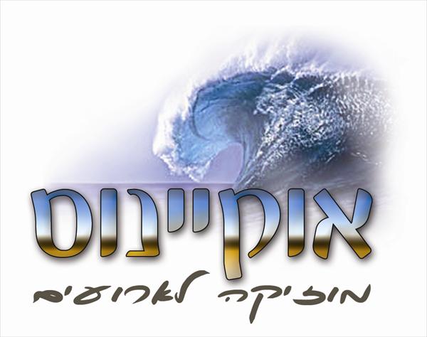 די ג'יי לחתונה