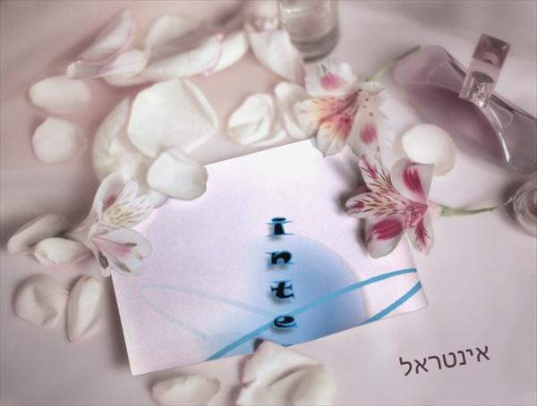 תמונת קטלוג 2010