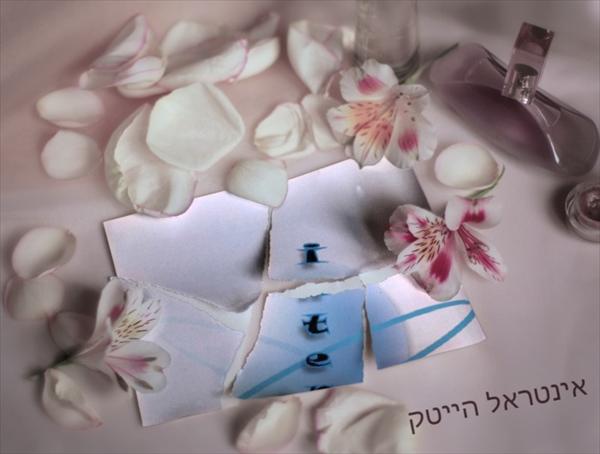 תמונת קטלוג 2010
