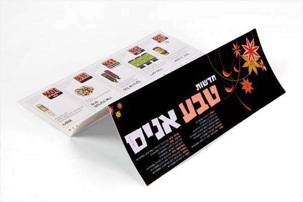 עיצוב עיתון לבית טבע אניס