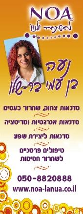 כל השרותים שלי