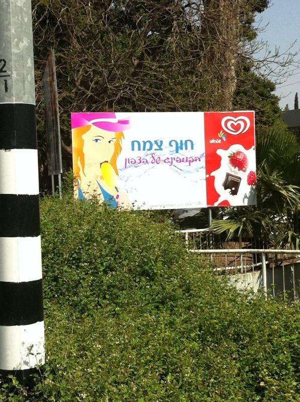 שלט חוצות חוף צמח