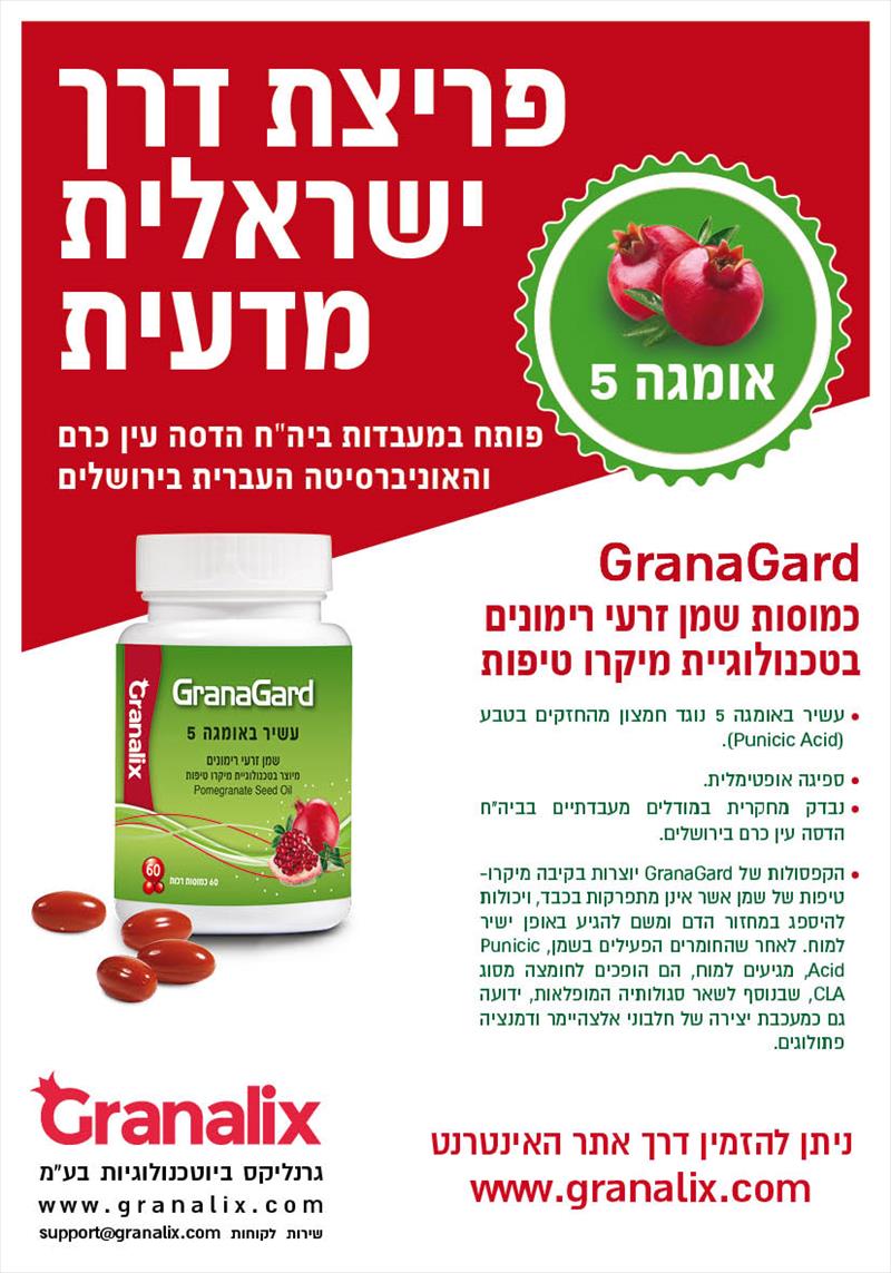 פלייר