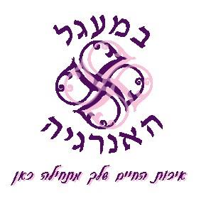 חבילת מיתוג בית העסק