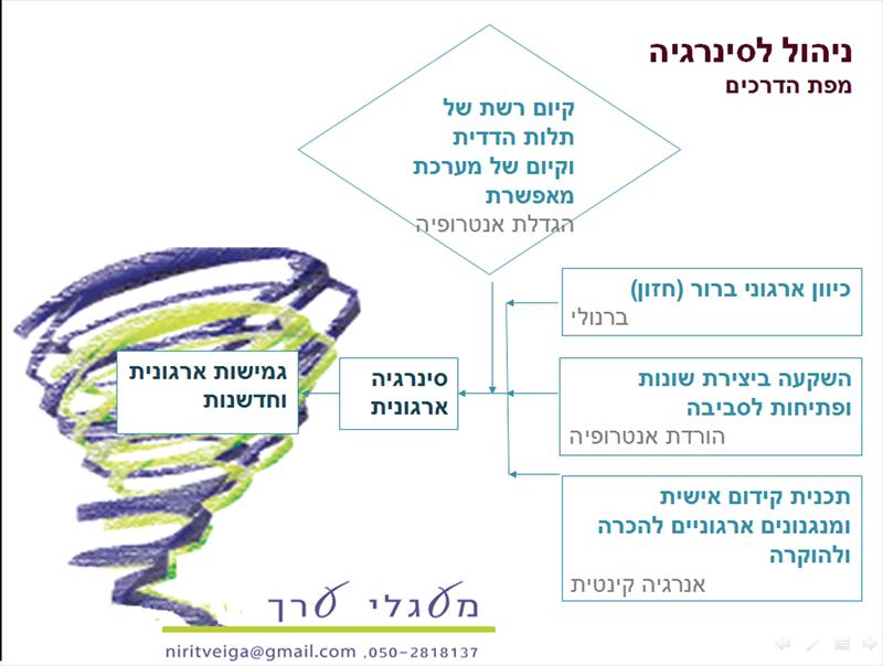 הרצאה: יעילות, אפקטיביות וסינרגיה - מודל