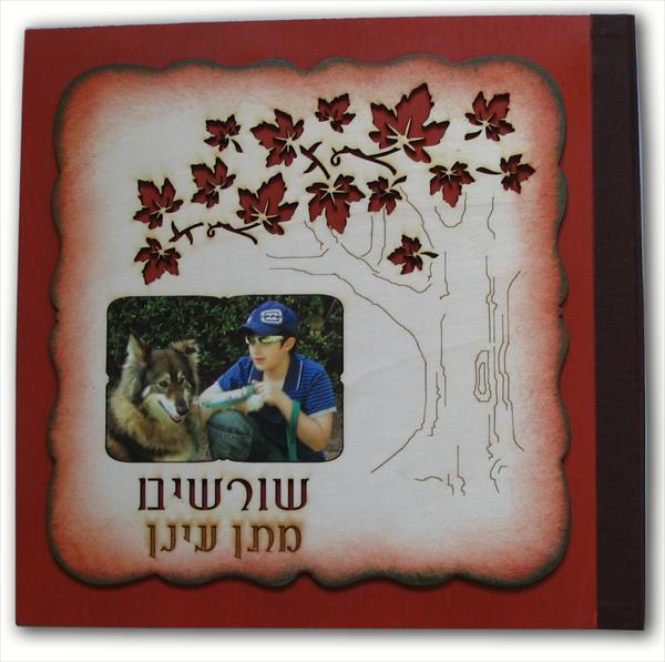 אלבום שורשים