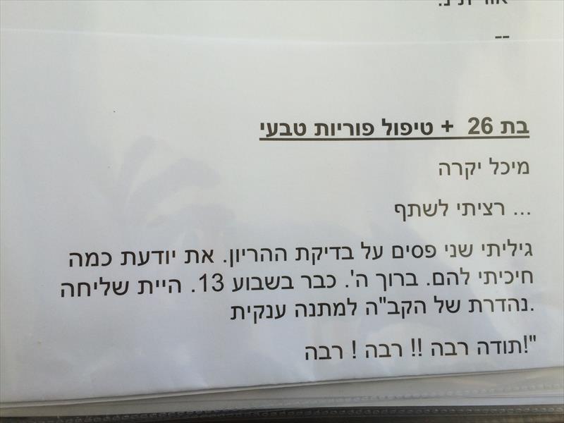 טיפול פוריות טבעית - רפואה סינית אינטגרטיבית