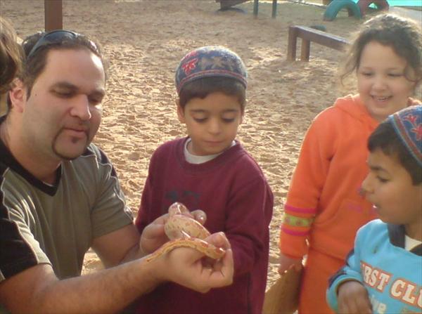חוגי בע"ח