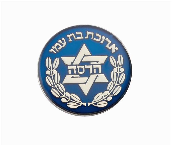 סיכת דש