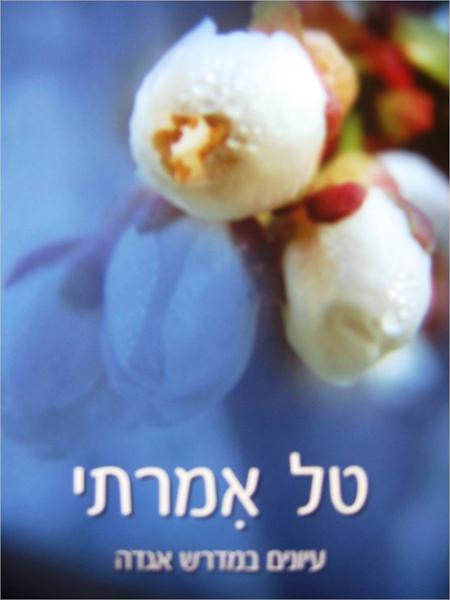 טל אמרתי - מאמרים