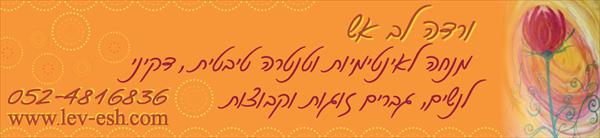 באנר פרסומי