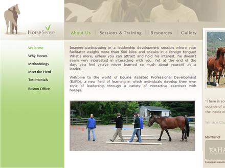 HorseSense
