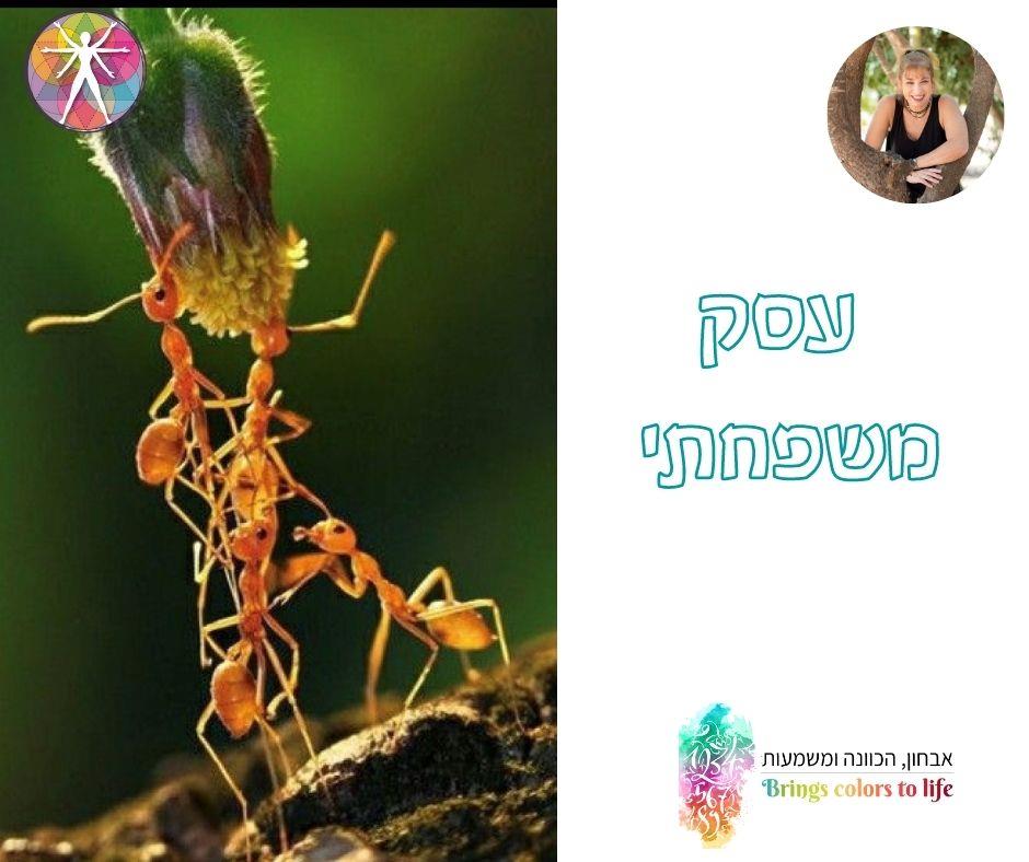 עסק משפחתי