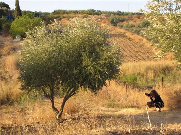 סדנת "אבני דרך-דרך הצילום"