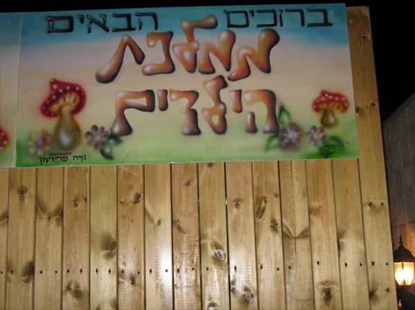 ממלכת הילדים